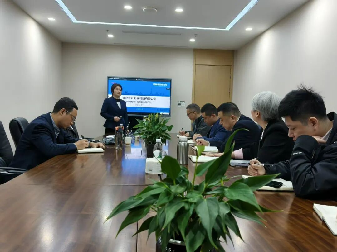 使命必达丨长江万润战略规划项目攻坚记